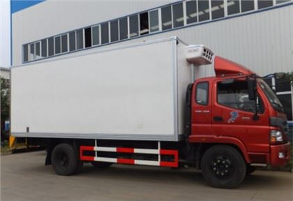 Panou sandwich din fibra de sticla pentru camion frigorific
